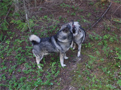 Takoda and his daughter Vida, Ancient Lineages Live On